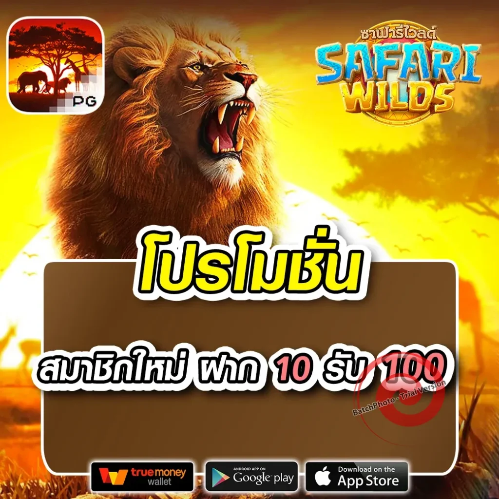 ปังปัง สล็อต เว็บใหม่